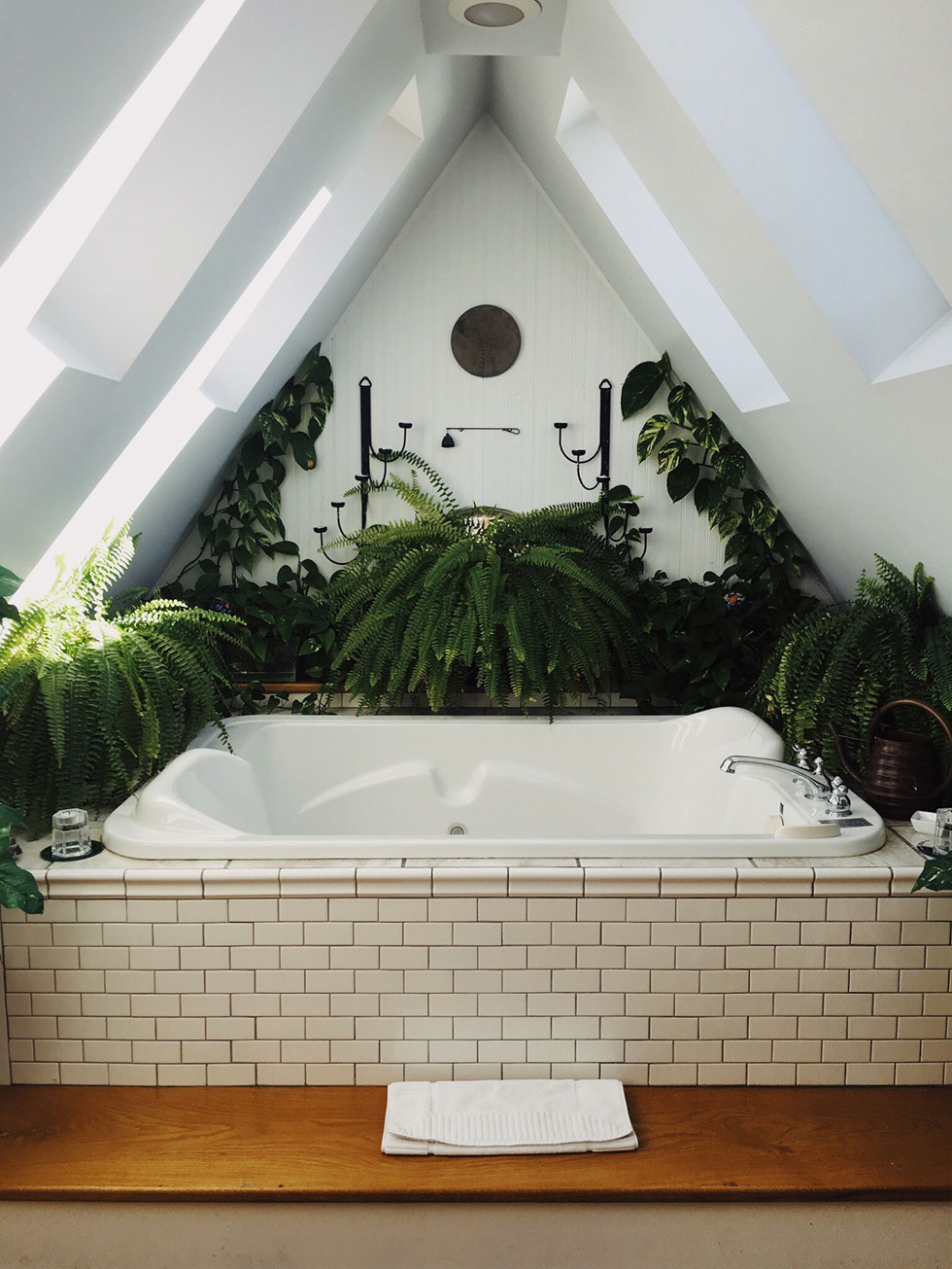 Badewanne unter Dachschrägen umgeben von Grünpflanzen