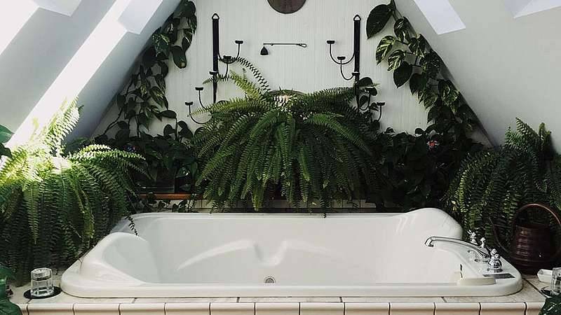 Badewanne unter Dachschrägen umgeben von Grünpflanzen