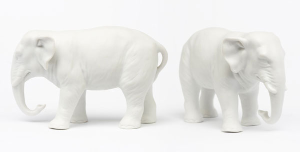 zwei weiße Elefanten