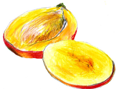 Mango-Zeichnung