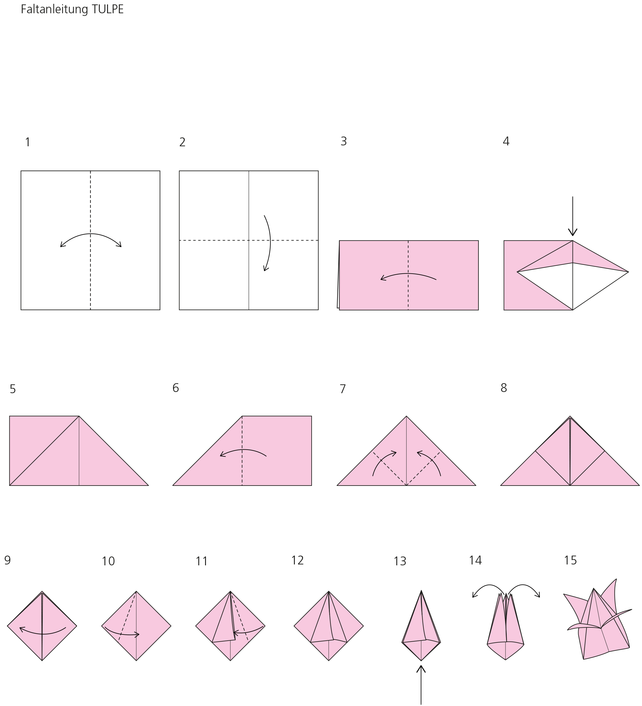 Faltanleitung Origamitulpe